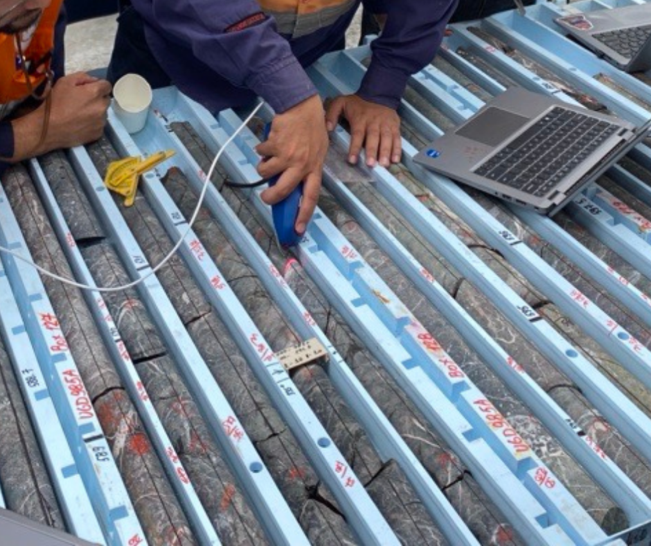 Digital structural measurements with LOGRx