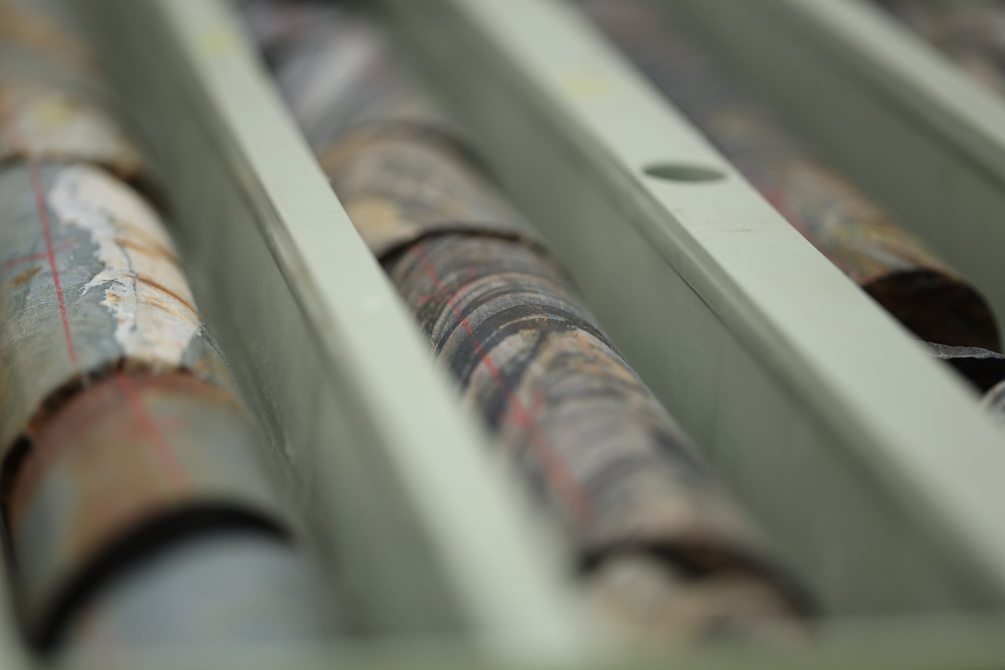 close up shot of cores in a tray